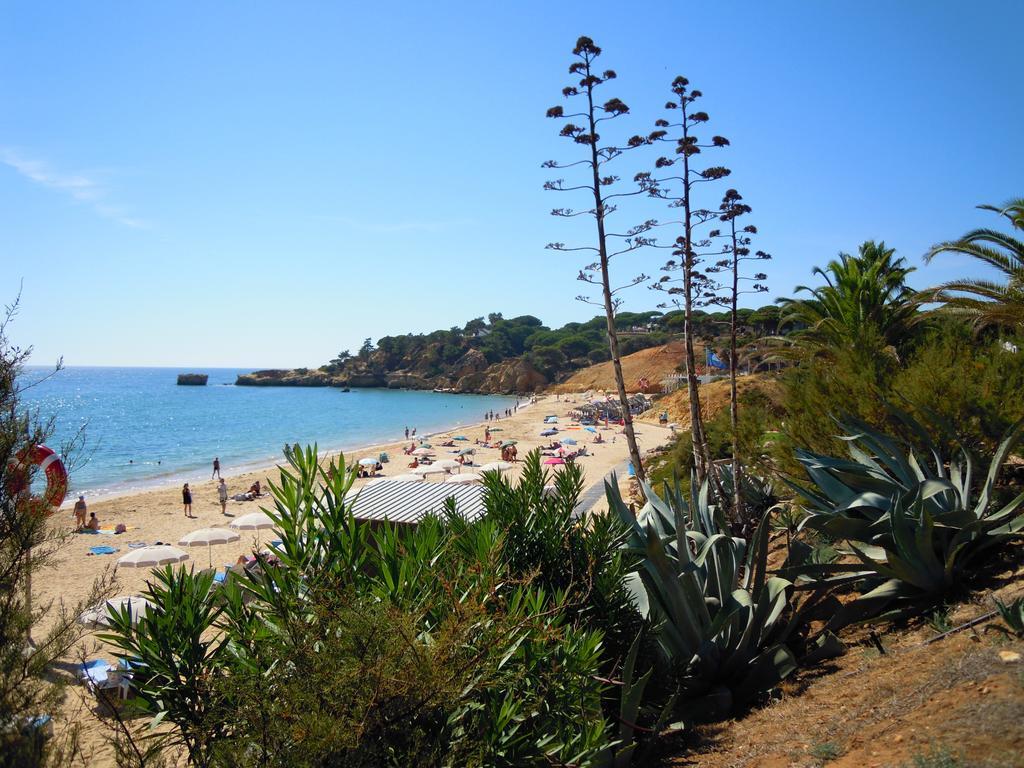 Jardins Da Balaia Hotel Albufeira Ngoại thất bức ảnh